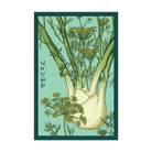 Fennel Vegetable Seeds Packet - Chive UK Wholesale