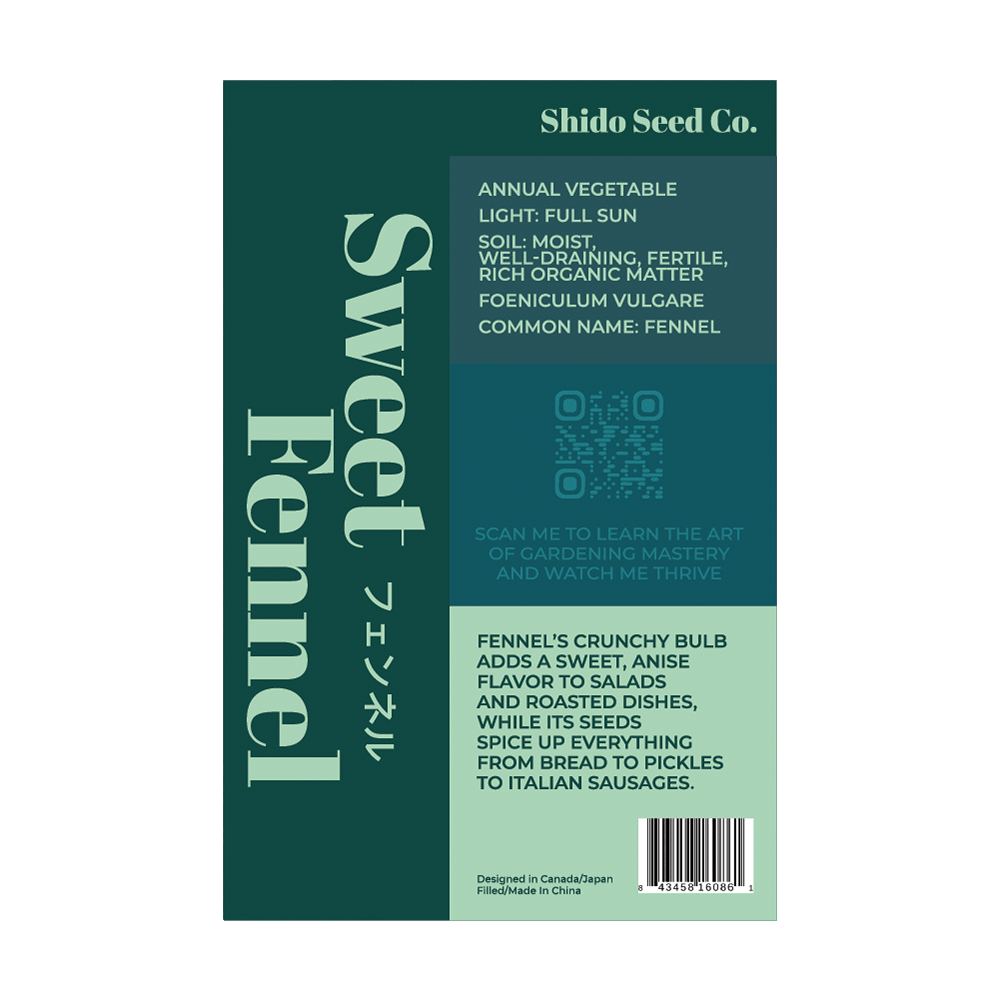 Fennel Vegetable Seeds Packet - Chive UK Wholesale