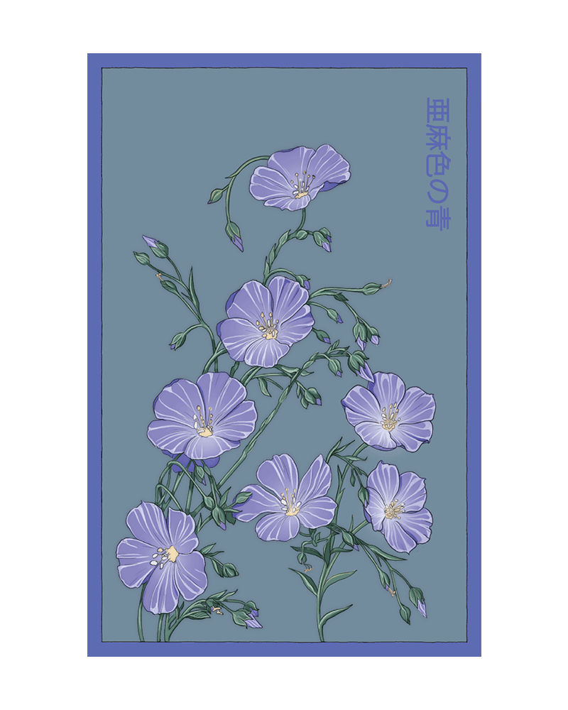 Flax Blue Flower Seeds Packet - Chive UK Wholesale