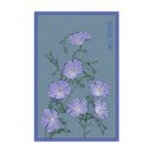 Flax Blue Flower Seeds Packet - Chive UK Wholesale