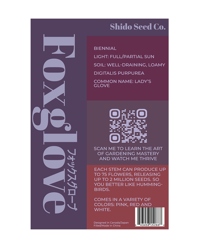 Foxglove Flower Seeds Packet - Chive UK Wholesale