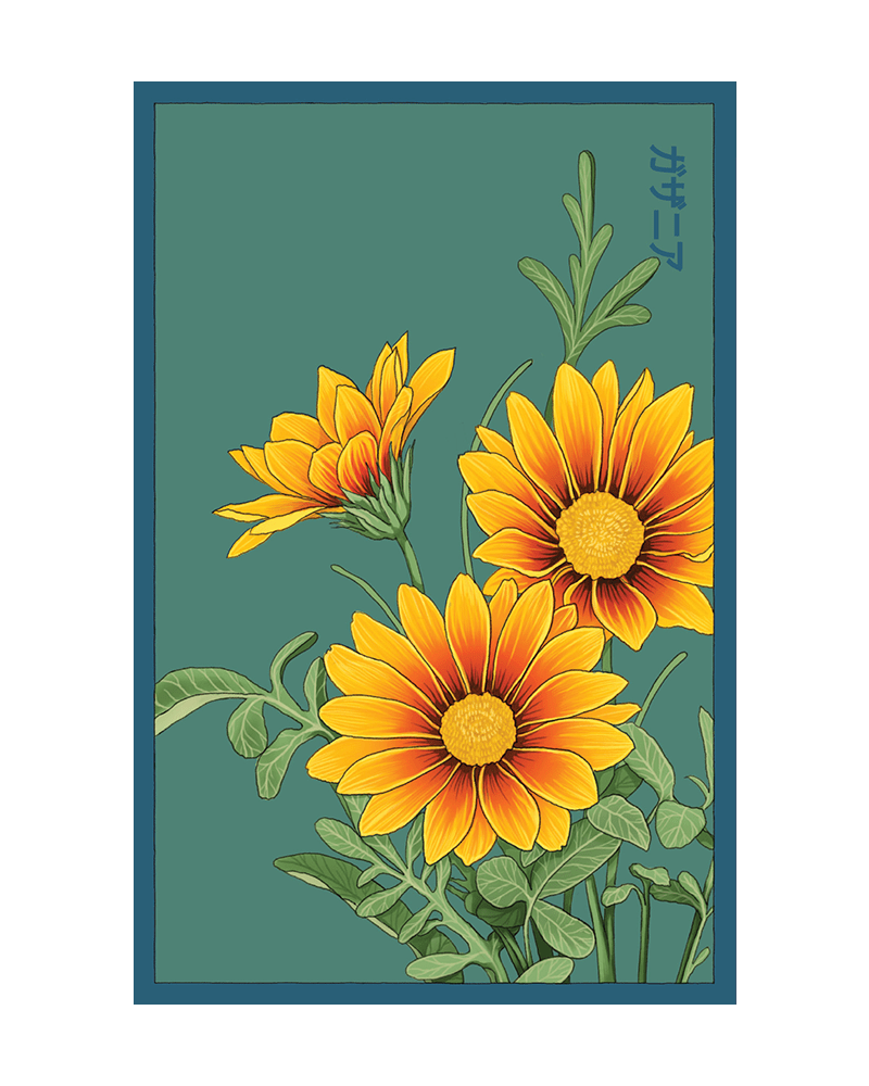 Gazania Flower Seeds Packet - Chive UK Wholesale