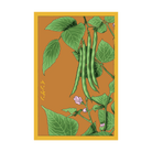 Green Beans Vegetable Seeds Packet - Chive UK Wholesale