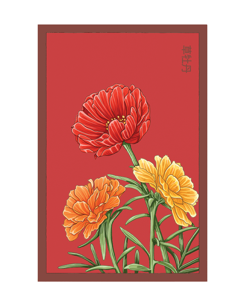 Herbaceous Peony Flower Seeds Packet - Chive UK Wholesale