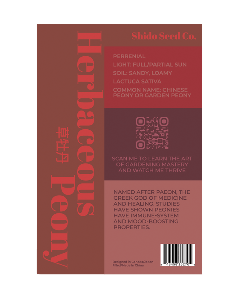 Herbaceous Peony Flower Seeds Packet - Chive UK Wholesale