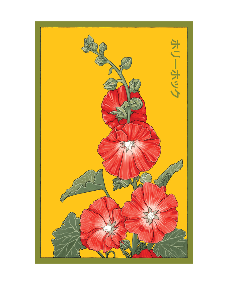 Hollyhock Flower Seeds Packet - Chive UK Wholesale