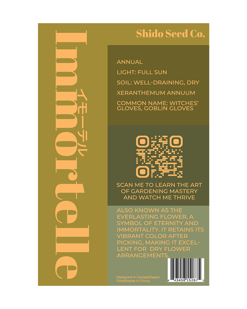 Immortelle Flower Seeds Packet - Chive UK Wholesale