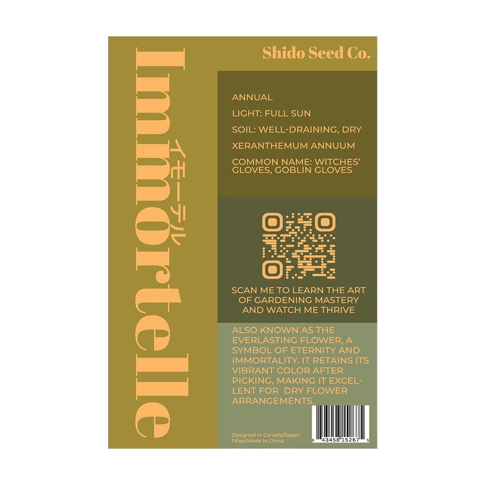 Immortelle Flower Seeds Packet - Chive UK Wholesale