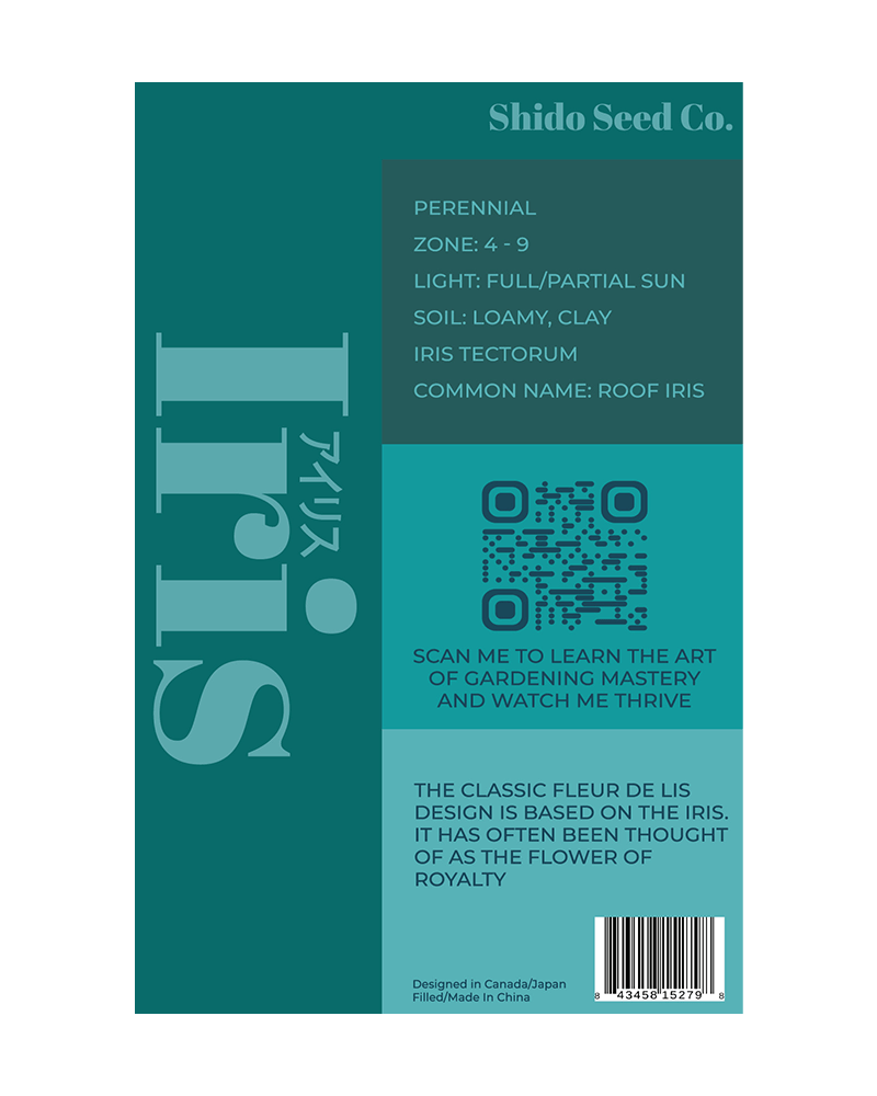 Iris Flower Seeds Packet - Chive UK Wholesale