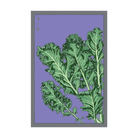 Kale Vegetable Seeds Packet - Chive UK Wholesale