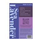 Sea Lavender Flower Seeds Packet - Chive UK Wholesale