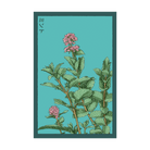 Mint Herb Seeds Packet - Chive UK Wholesale