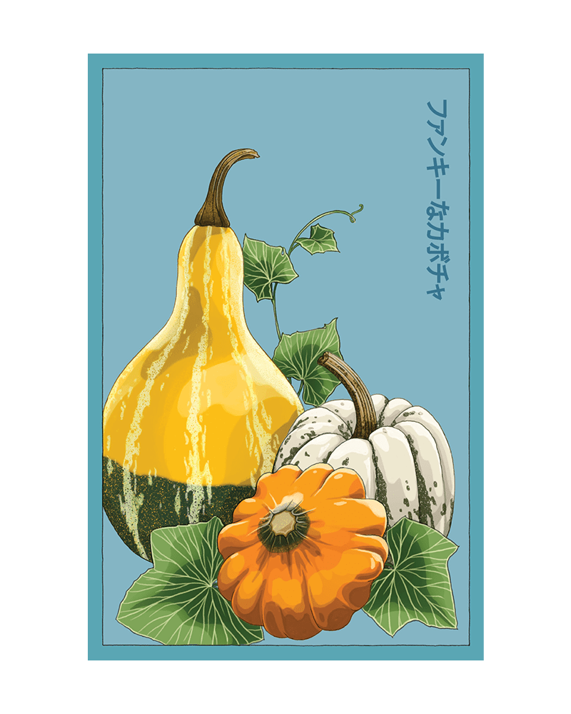 Funky Squash Seeds Packet - Chive UK Wholesale