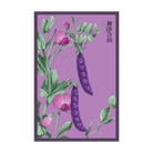 Purple Peas Vegetable Seeds Packet - Chive UK Wholesale