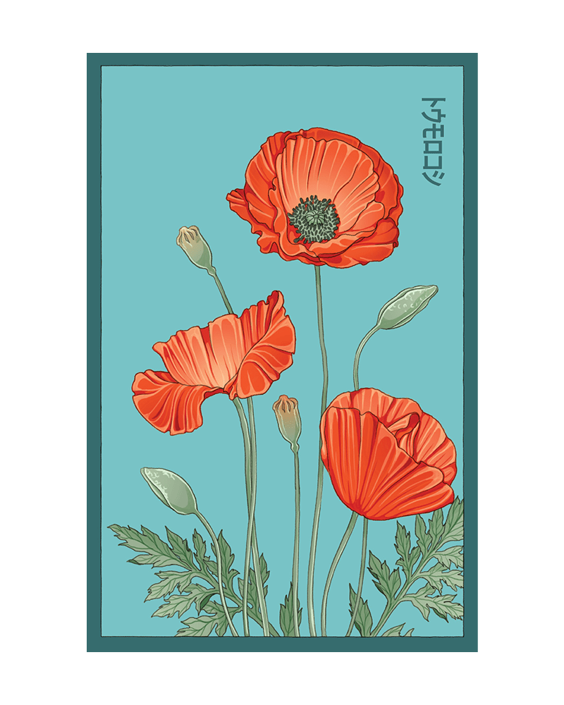 Corn Poppy Flower Seeds Packet - Chive UK Wholesale