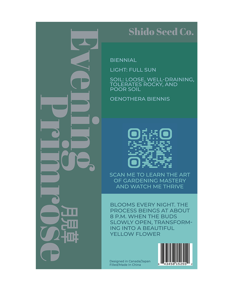 Evening Primrose Flower Seeds Packet - Chive UK Wholesale