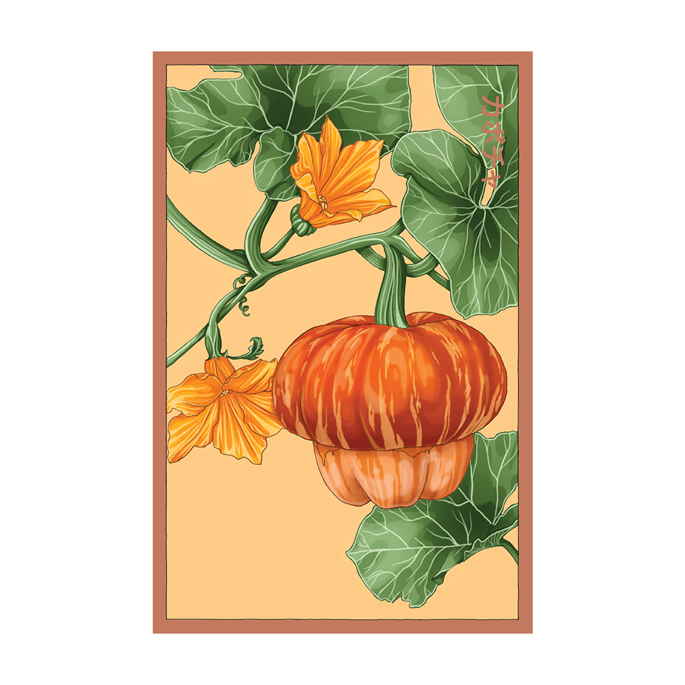 Pumpkin Squash Vegetable Seeds Packet - Chive UK Wholesale