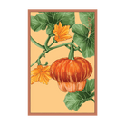 Pumpkin Squash Vegetable Seeds Packet - Chive UK Wholesale