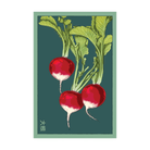 Radish Vegetable Seeds Packet - Chive UK Wholesale