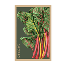 Rainbow Chard Vegetable Seeds Packet - Chive UK Wholesale