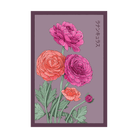 Ranunculus Flower Seeds Packet - Chive UK Wholesale