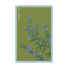 Rosemary Herb Seeds Packet - Chive UK Wholesale
