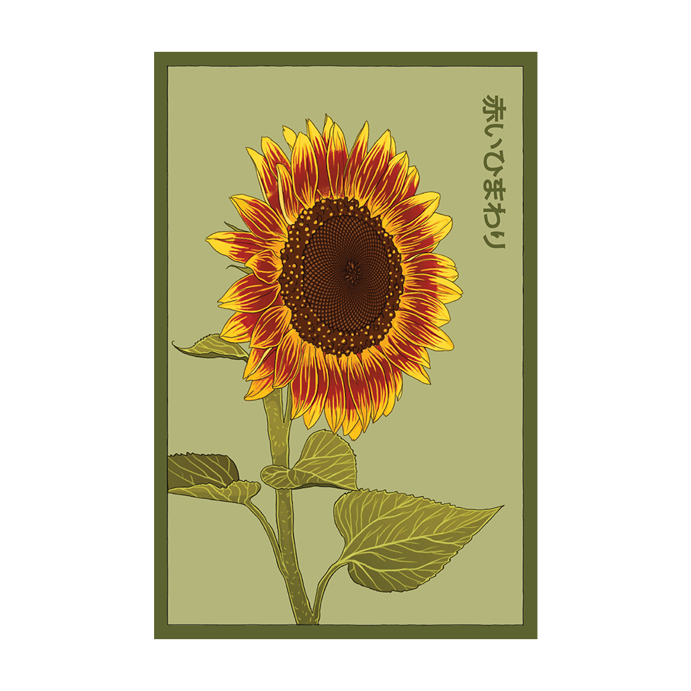 Red Sunflower Flower Seeds Packet - Chive UK Wholesale