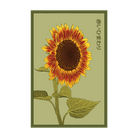 Red Sunflower Flower Seeds Packet - Chive UK Wholesale