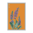 Sage Herb Seeds Packet - Chive UK Wholesale