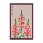 Snapdragon Flower Seeds Packet - Chive UK Wholesale