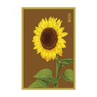 Sunflower Flower Seeds Packet - Chive UK Wholesale