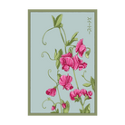 Sweet Pea Flower Seeds Packet - Chive UK Wholesale