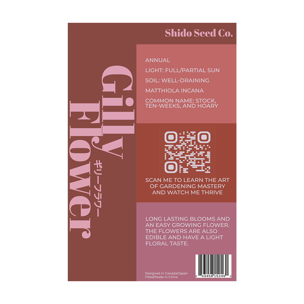 Gilly Flower Seeds Packet - Chive UK Wholesale