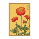 Zinnia Flower Seeds Packet - Chive UK Wholesale