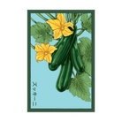 Zucchini Vegetable Seeds Packet - Chive UK Wholesale