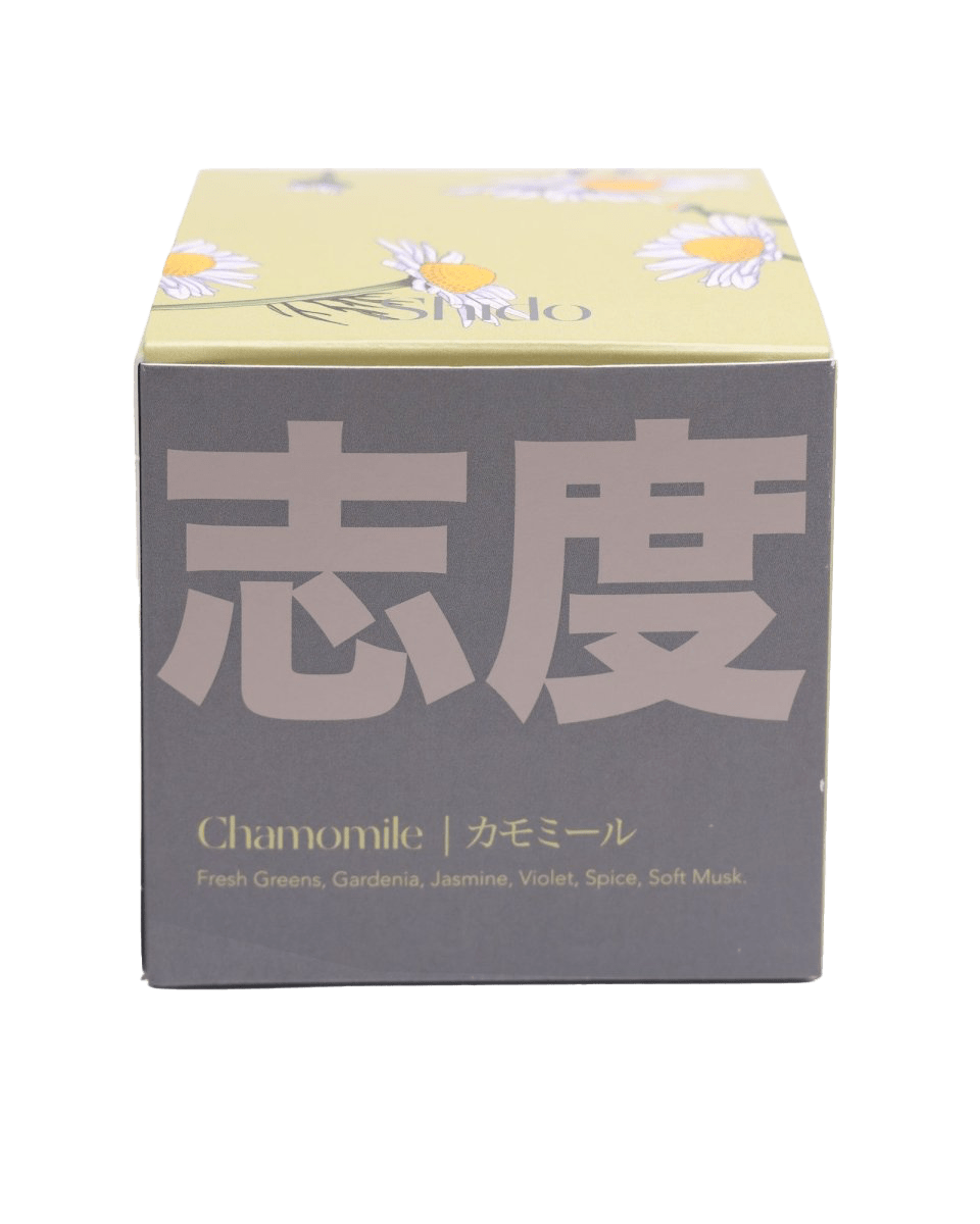 Shido Coconut Soy Blend Candle - Chive UK Wholesale