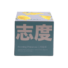Shido Coconut & Soy Blend Evening Primrose Candle - Chive UK Wholesale