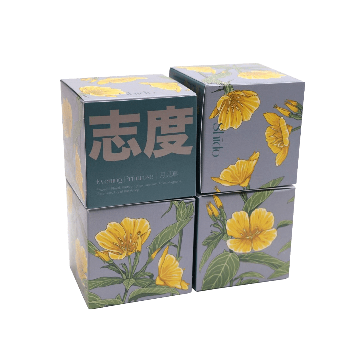 Shido Coconut & Soy Blend Evening Primrose Candle - Chive UK Wholesale
