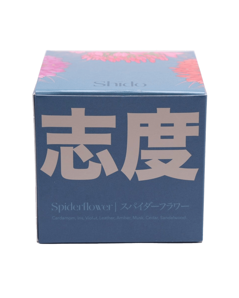 Shido Coconut Soy Blend Candle - Chive UK Wholesale