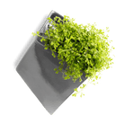 Slab Wall Planter For Succulents - Chive UK Wholesale