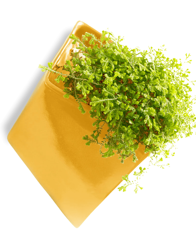 Slab Wall Planter For Succulents - Chive UK Wholesale