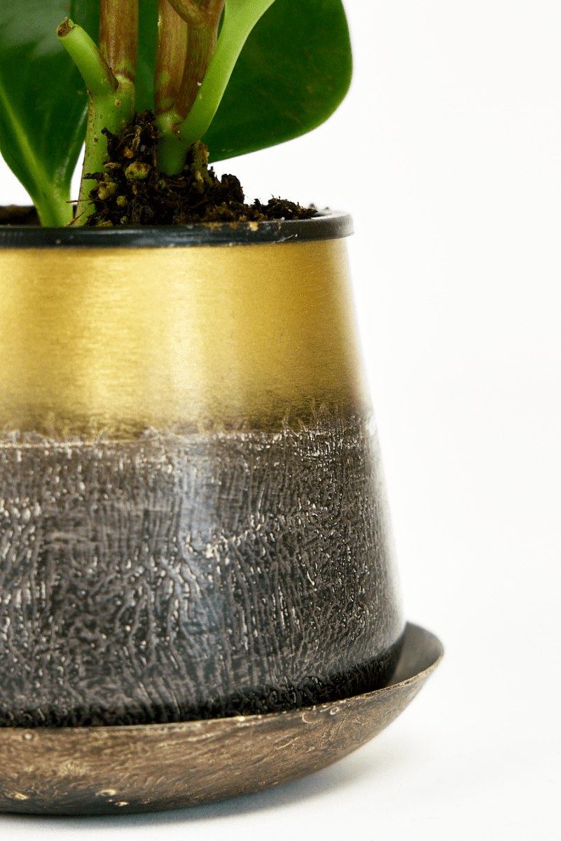 Joe Metal Pot With Drainage Hole - Chive UK Wholesale