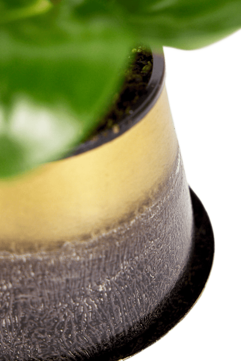 Joe Metal Pot With Drainage Hole - Chive UK Wholesale