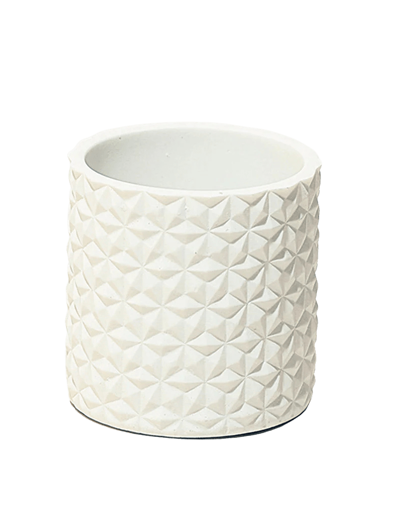 Stagma Resin Planter Pot - Chive UK Wholesale