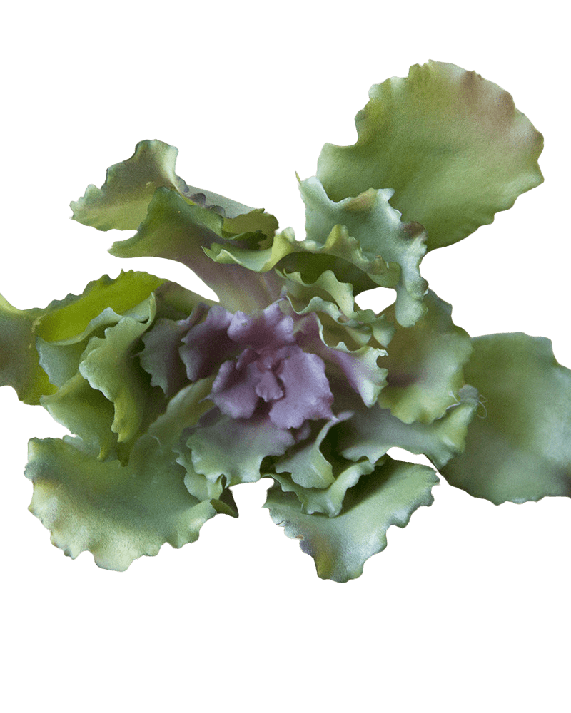 Succulents Fake Faux Lifelike Decorative Things - Chive UK Wholesale