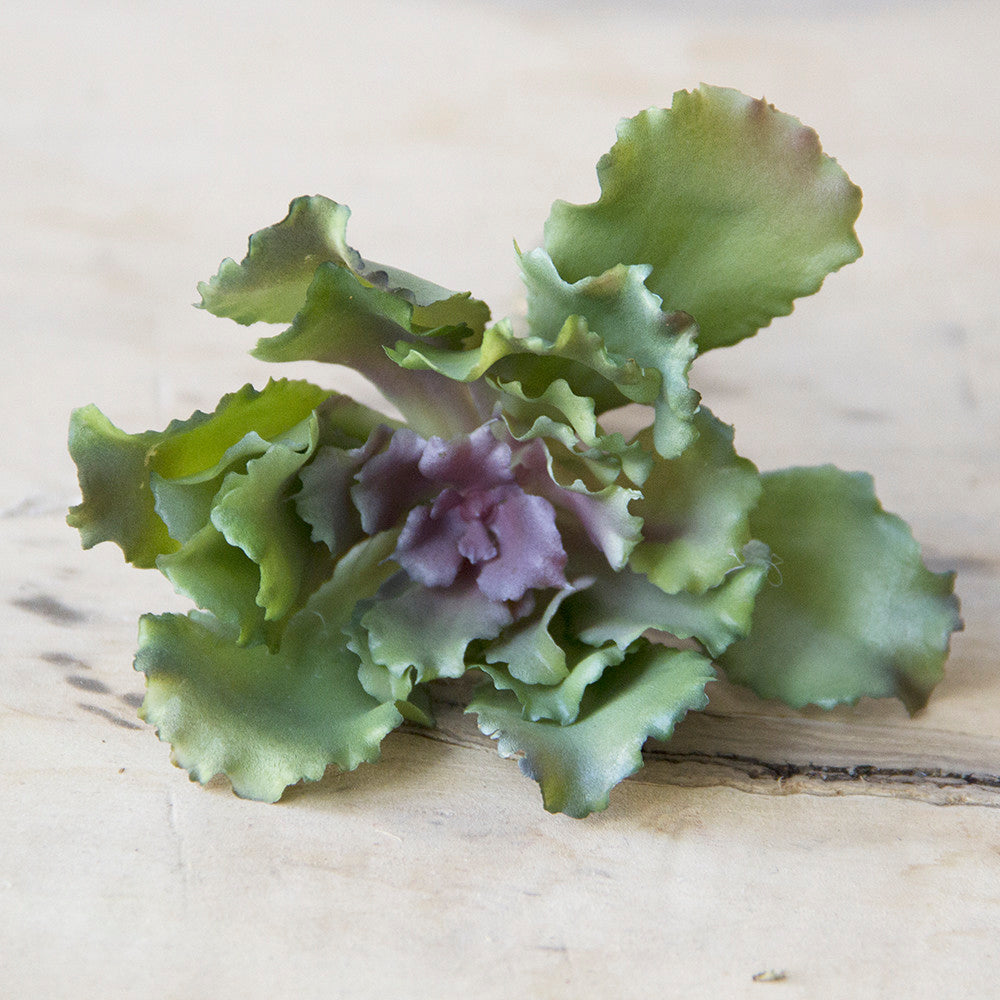 Succulents Fake Faux Lifelike Decorative Kit - Chive UK Wholesale