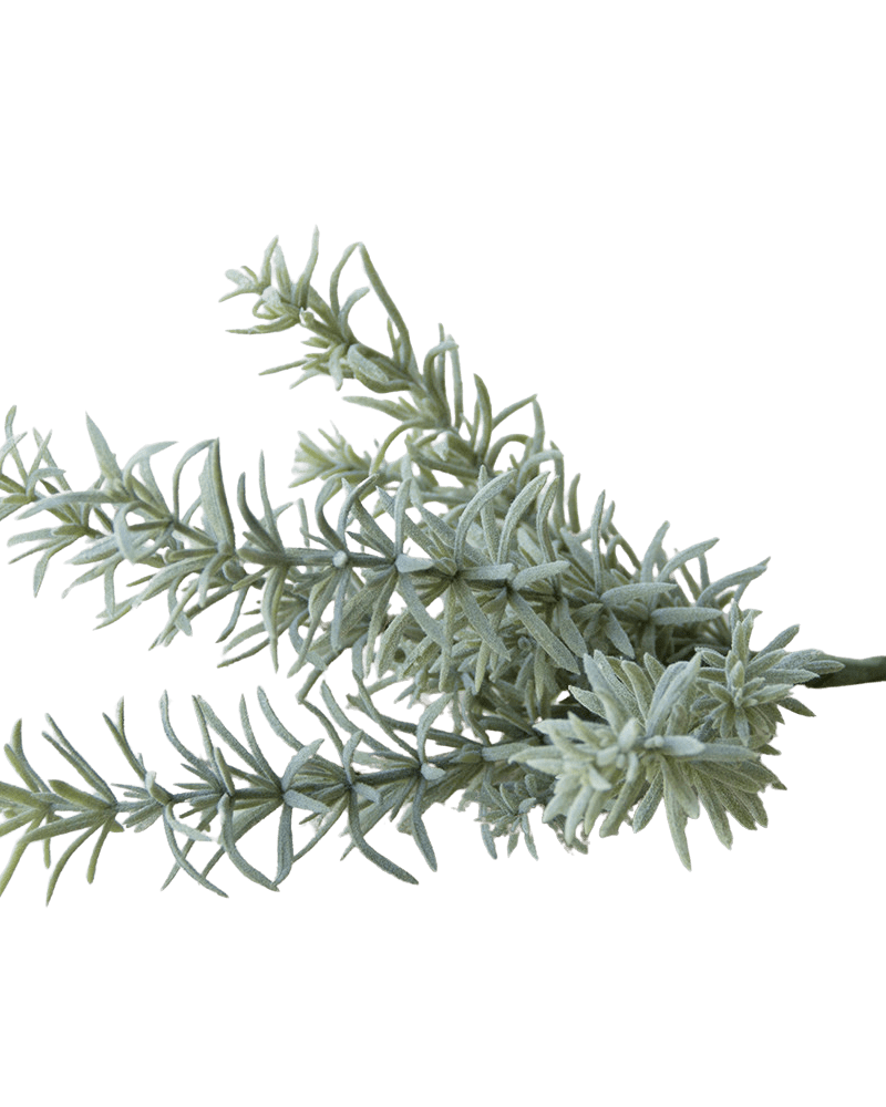 Succulents Fake Faux Lifelike Decorative Things - Chive UK Wholesale
