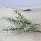 Succulents Fake Faux Lifelike Decorative Kit - Chive UK Wholesale