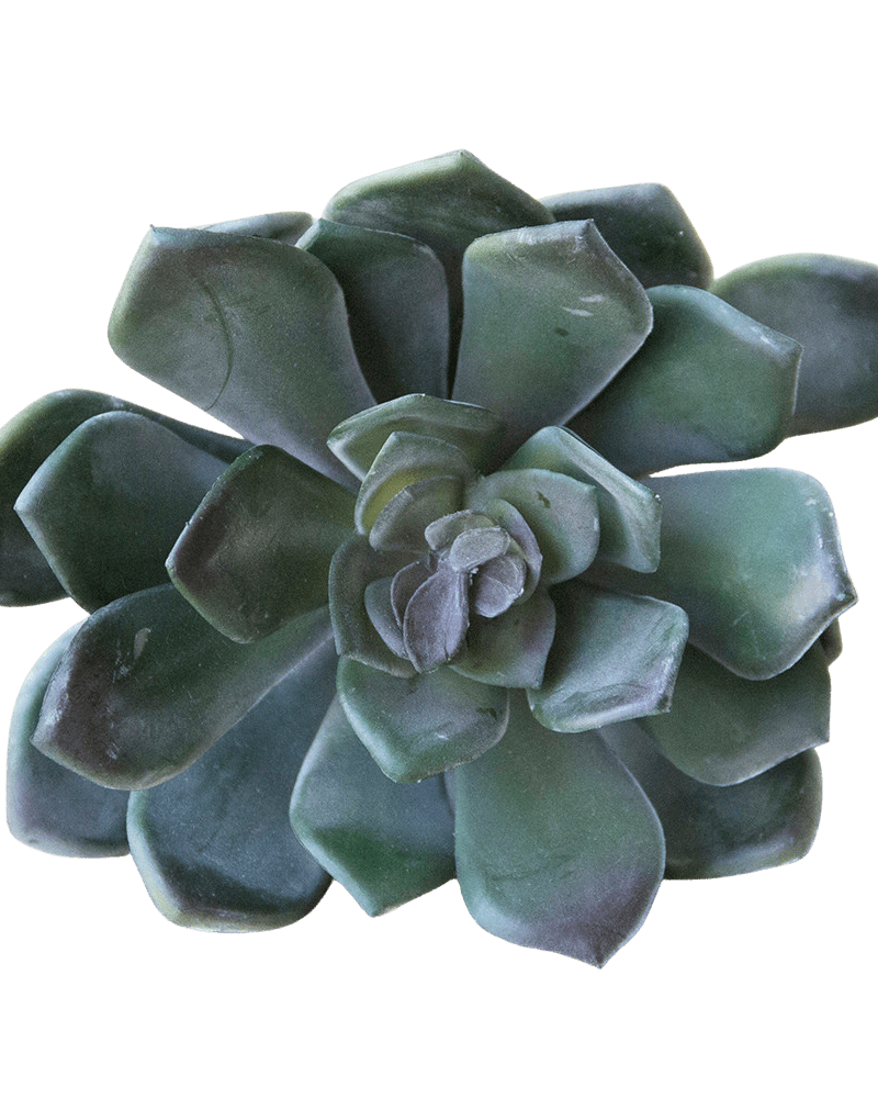 Succulents Fake Faux Lifelike Decorative Things - Chive UK Wholesale