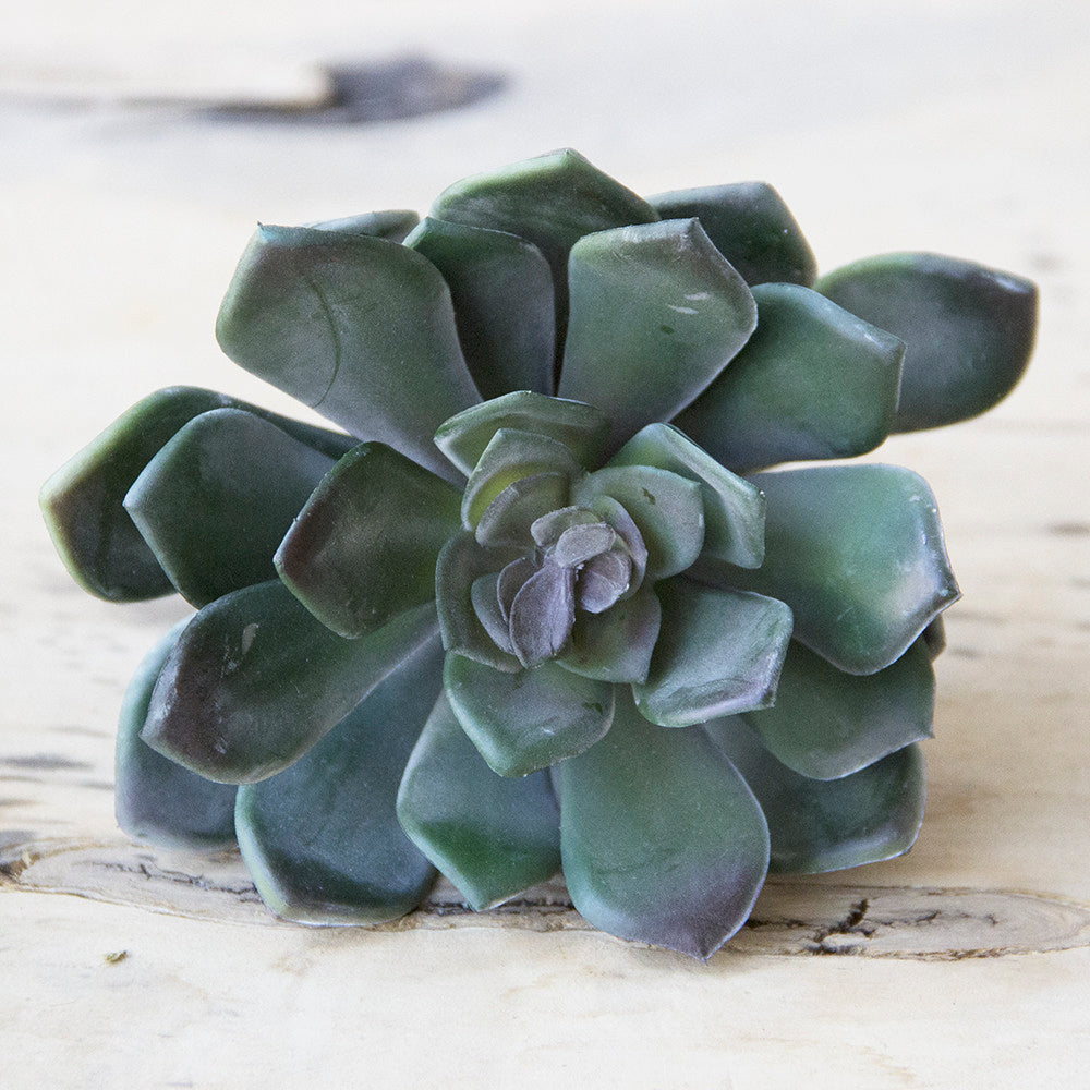 Succulents Fake Faux Lifelike Decorative Kit - Chive UK Wholesale